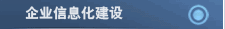 企业信息化建设