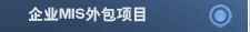 企业MIS外包项目